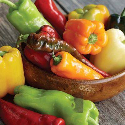 How to Grow Peppers That Won’t Let You Down - finegardening.com