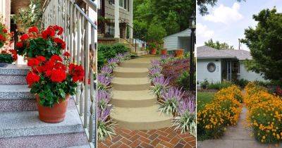 17 Best Flowers for Front of House - balconygardenweb.com