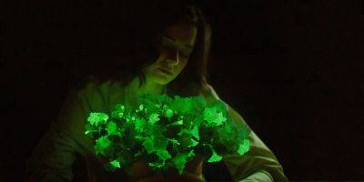 These Light Bio Plants Literally Glow in the Dark—Just Add Water - sunset.com - state Idaho