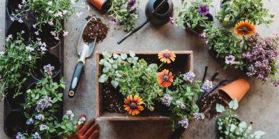 These Garden Apps Will Help You Get a Thriving Garden - sunset.com