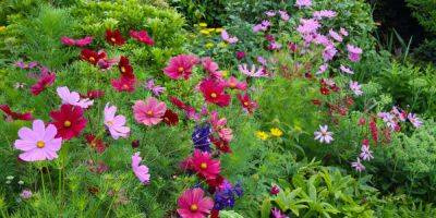 8 Summer Gardening Tasks and Tips to Know - sunset.com