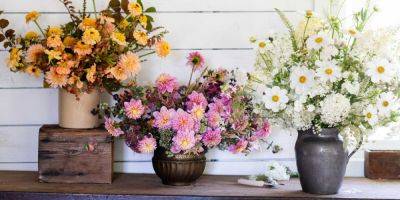 Here’s How to Shop for Trader Joe's Flowers This Spring - sunset.com