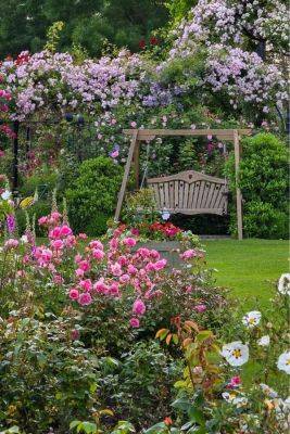 Rose garden ideas – how to choose a rose for an obelisk, arch, fence or pergola - themiddlesizedgarden.co.uk