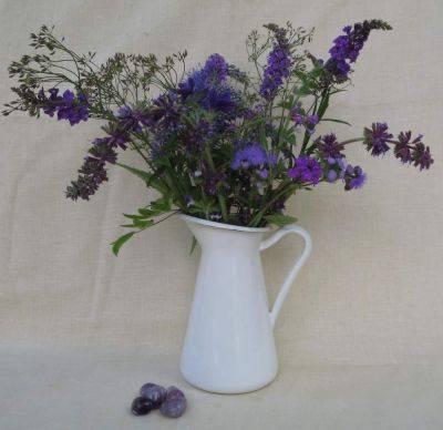 In a Vase on Monday: Purple Haze Requires Black Stockings - ramblinginthegarden.wordpress.com - Britain