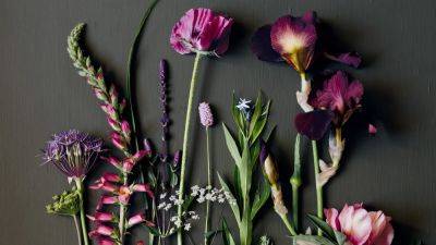 Angel Collins' perfect planting scheme for summer borders | House & Garden - houseandgarden.co.uk