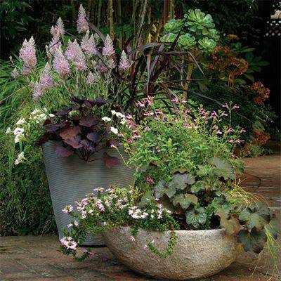 Spectacular Summer Container Designs: Part 1 - finegardening.com - city Seattle - San Francisco