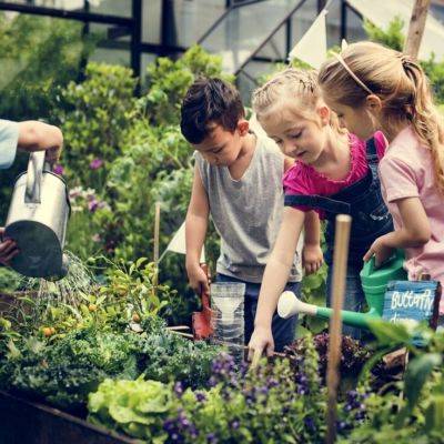 What garden fun activities can be brought to life? - gardencentreguide.co.uk - Britain