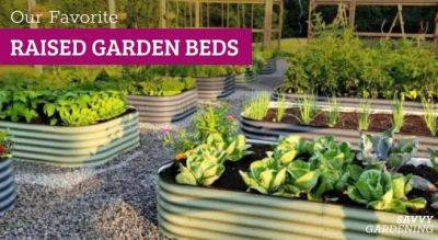 The 6 Best Raised Garden Beds of 2024: What We Use and Love - savvygardening.com