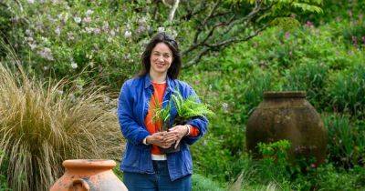 Save time, money and the planet with Frances Tophill - gardenersworld.com - France