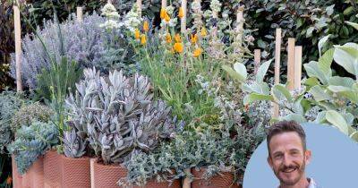 Is there such a thing as a low-maintenance and attractive garden? - gardenersworld.com
