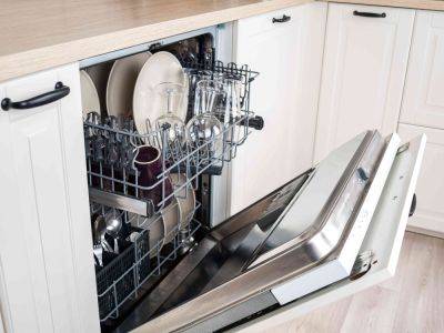 6 Warning Signs to Look Out for Before Buying a New Dishwasher - thespruce.com
