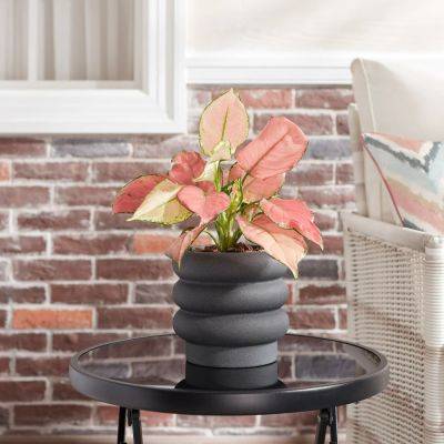 5 Things to Consider When Picking the Perfect Planter - bhg.com