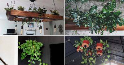 11 Indoor Plant Chandelier Ideas - balconygardenweb.com