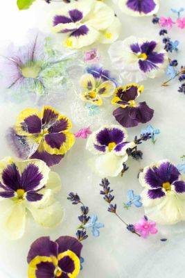 Ultimate edible flowers guide: list of 50 blooms - growingfamily.co.uk