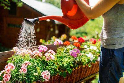 How to Protect Your Garden From Extreme Heat This Summer - thespruce.com - Usa
