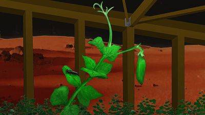 Is Insect Waste the Key to Growing Plants on Mars? - theunconventionalgardener.com - state Texas