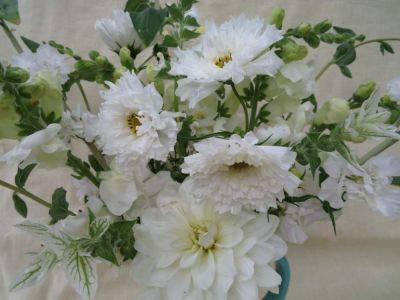 In a Vase on Monday: White as the Driven Snow - ramblinginthegarden.wordpress.com - county White
