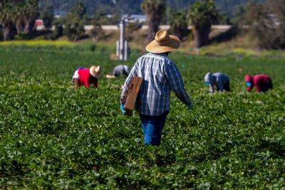 California Farmworkers Embark on 335-Mile March for Voting Rights - modernfarmer.com - Usa - state California