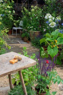 10 top ‘real garden’ trends from RHS Hampton Court 2024 - themiddlesizedgarden.co.uk