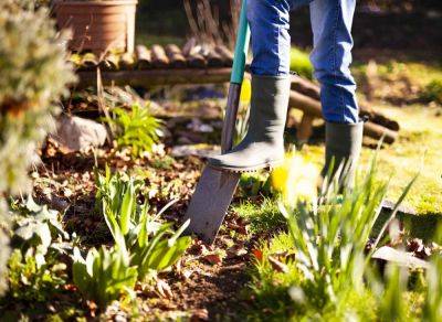 9 Things You Should Do To Your Garden Before Going On Vacation - southernliving.com - state Texas