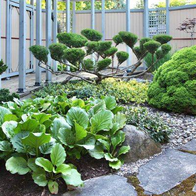 The Small World of a Japanese-Style Courtyard Garden - finegardening.com - Canada - Japan - county Garden - county Ontario