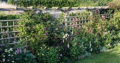 10 Garden Trellis Ideas for Vertical Gardening - gardenersworld.com
