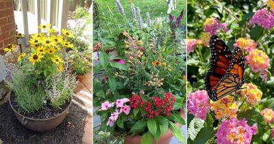 18 DIY Pollinator Pot Ideas to Attract Butterflies and Bees - balconygardenweb.com