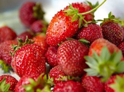Will an Ice Water Bath Save Mushy Strawberries? - bhg.com