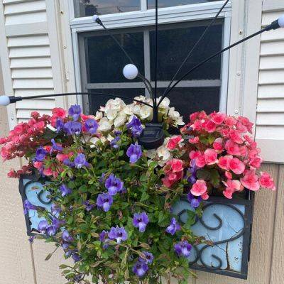 Summer Containers in Connecticut - finegardening.com - state Connecticut