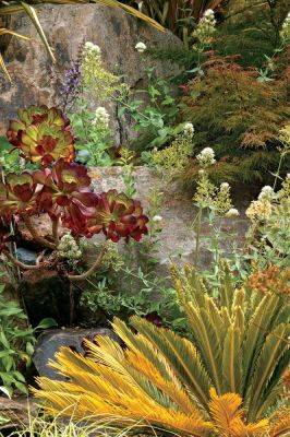 8 Inspired Drought-Tolerant Plant Combinations for a Water-Wise Landscape - finegardening.com - state California - state Wisconsin - county Garden