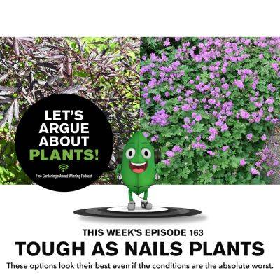 Episode 163: Tough As Nails Plants - finegardening.com - state California - state Oklahoma