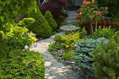 Creating a zen garden: a quiet, clutter-free outdoor space - growingfamily.co.uk - Japan