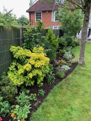 Transform Your Garden with GardenAdvice.co.uk - gardenadvice.co.uk