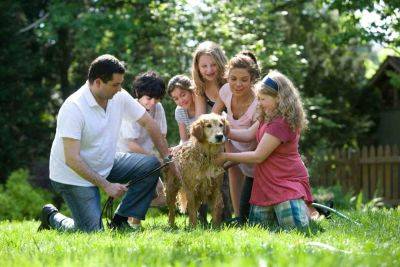 How to get your dog used to children - growingfamily.co.uk