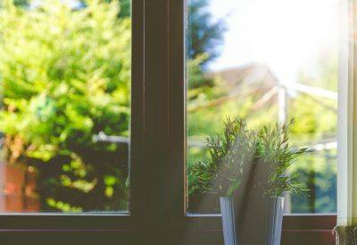 Understanding window damage: causes, prevention, and solutions - growingfamily.co.uk