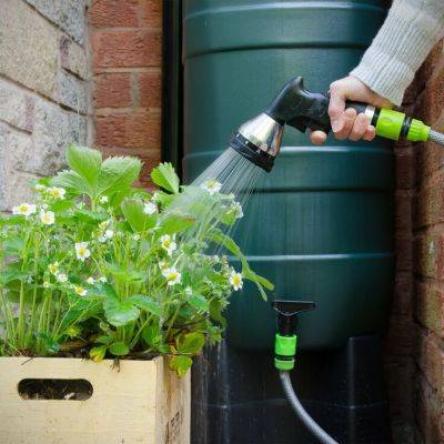 Summer Watering Tips: Keep Your Garden Healthy and Green - gardencentreguide.co.uk