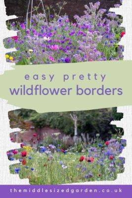 How to grow wildflowers – add colour to your garden all summer long! - themiddlesizedgarden.co.uk - Britain - Australia