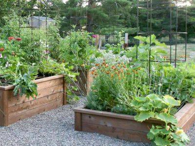 12 Raised Garden Bed Ideas We Love - southernliving.com