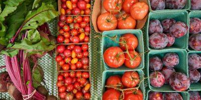 This Simple Storage Trick Will Help Your Tomatoes Last Longer - sunset.com