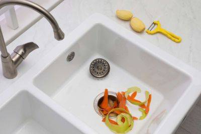 11 Things You Should Never Put Down a Garbage Disposal - thespruce.com