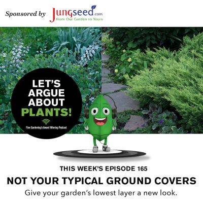 Episode 165: Not Your Typical Ground Covers - finegardening.com - Usa - state Illinois