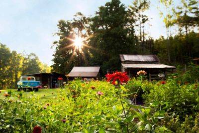 This North Georgia Flower Farm Is Cultivating Blooms And Supporting A Meaningful Cause - southernliving.com - Georgia