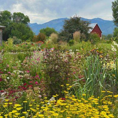 Bitterroot Secret Garden Tour: A Nurseryman’s Expansive Garden - finegardening.com - Usa - state Montana