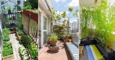 9 Common Balcony Gardening Problems and Tips to Solve Them - balconygardenweb.com