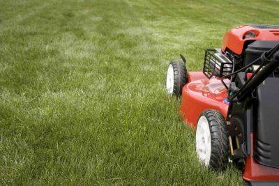 Here's How Often You Should Actually Be Mowing Your Lawn - southernliving.com