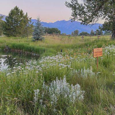 Bitterroot Secret Garden Tour: Rural Garden on a Montana Ranch - finegardening.com - state Montana - state Colorado