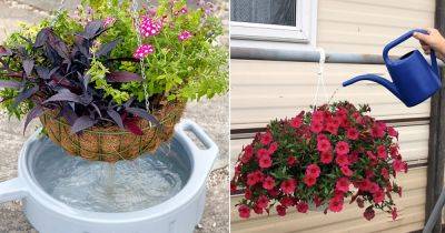 8 Best Ways to Water Plants in Hanging Baskets - balconygardenweb.com