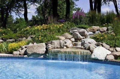 17 Best Plants That Work Perfectly Around the Pool - treehugger.com