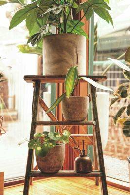 5 ways to upcycle an old step ladder - growingfamily.co.uk