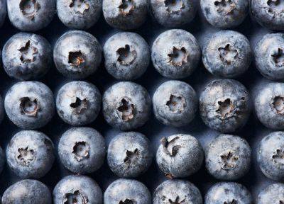 How to Freeze Blueberries to Use Year-Round - bhg.com